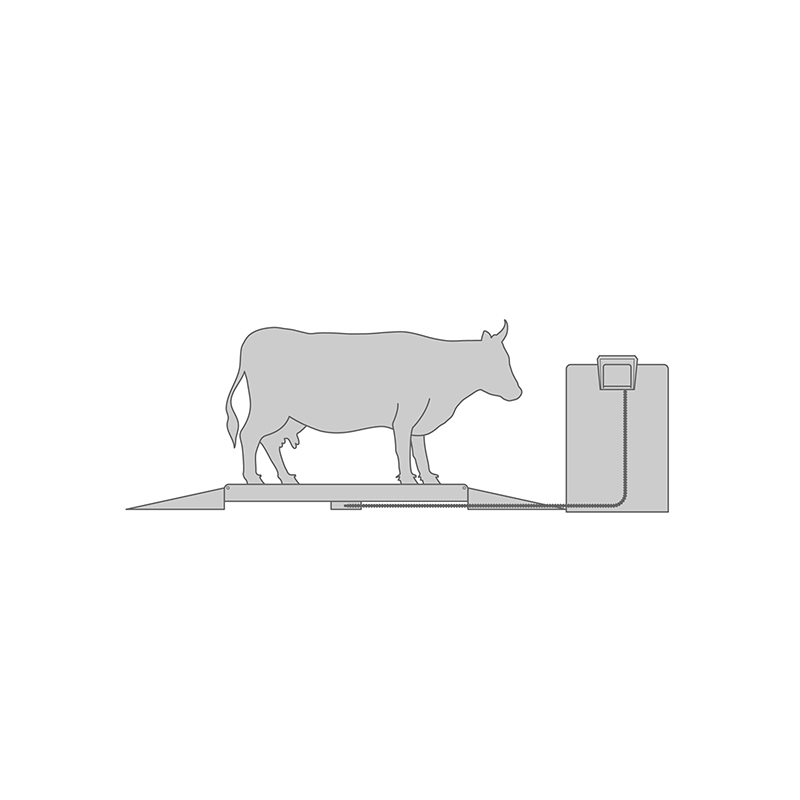 Surveillance du poids du bétail