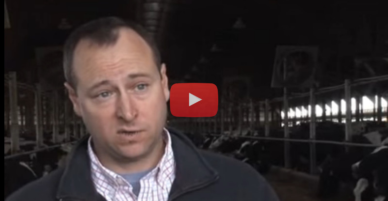 Interview about dg precisionFEEDING with Dan Kohls, A Feed Inc.
