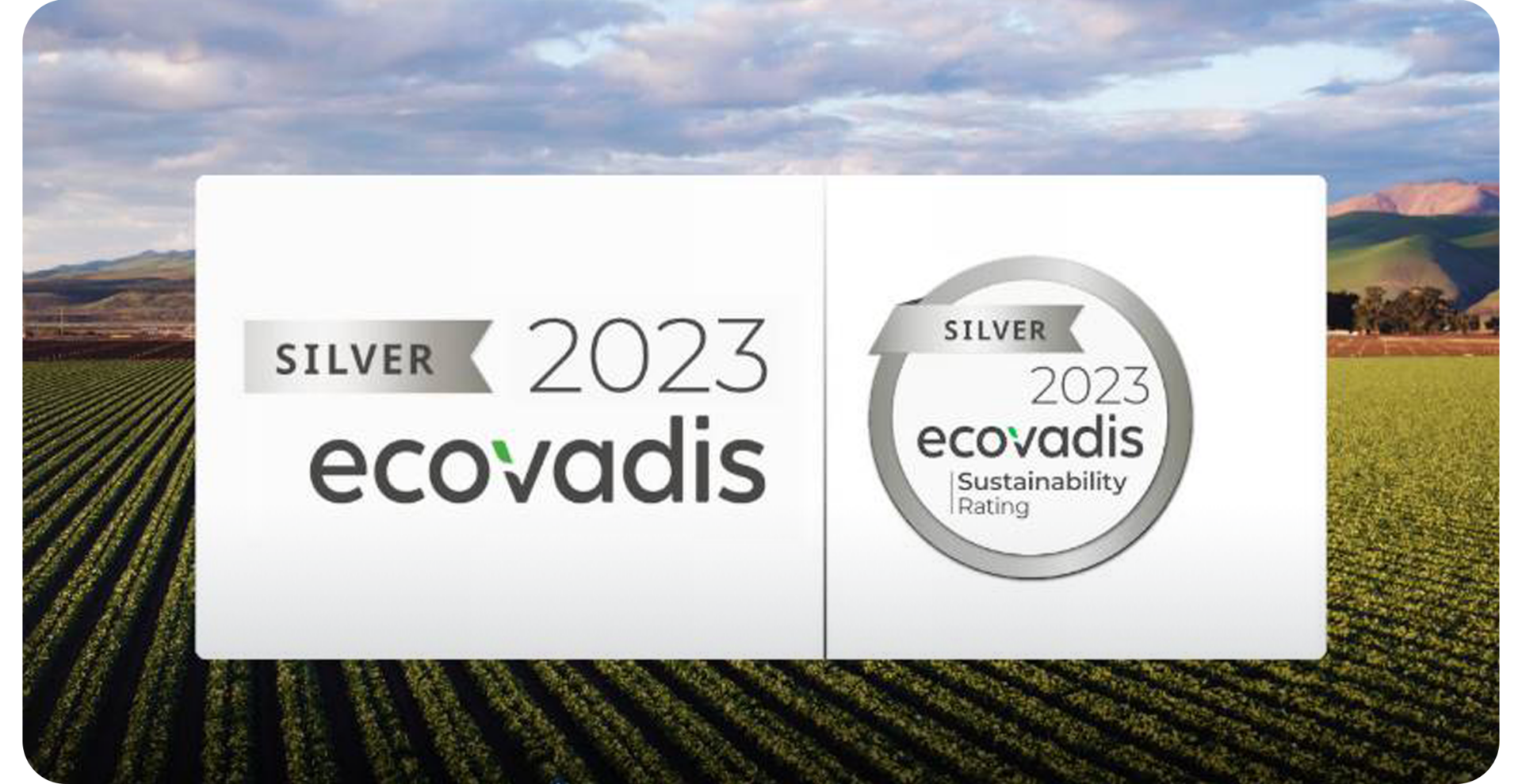 Sustainability - EcoVadis Award - dinamica generale