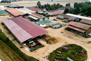 alimentación de precisión-adriana-busi-azienda agricola-i tigli