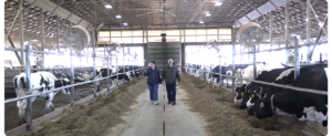 Rock Solid Dairy’s Journey From Spreadsheets to Precision Feeding - dtm - testimonials - feed management software