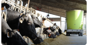 precision-feeding-nir-analysis-evonir-on-tank