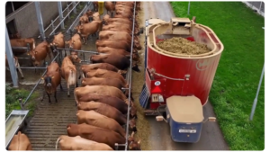 Granja Juulsgaard_mezcladora autopropulsada-loanding